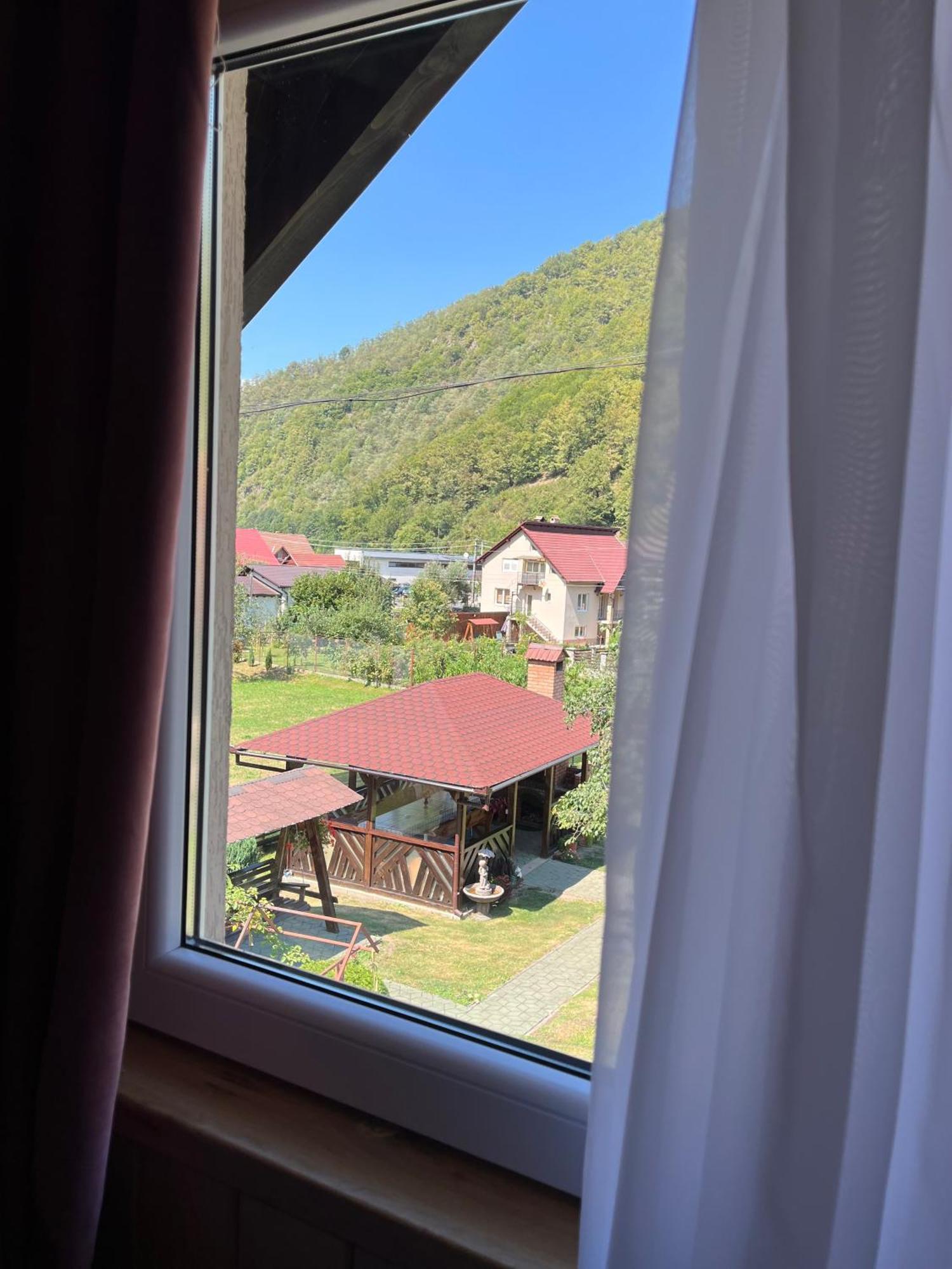 Homestay Casa Zorilor *