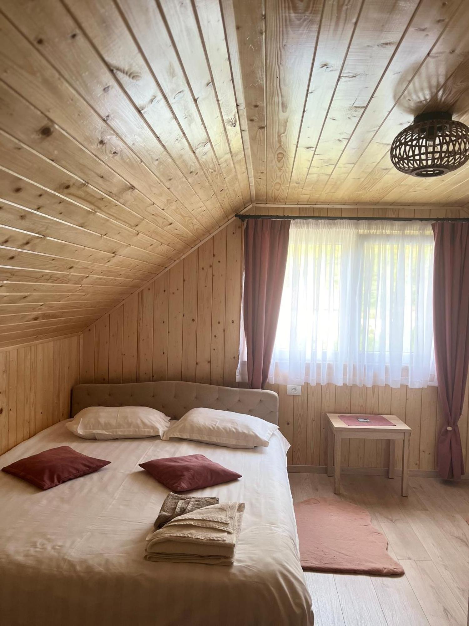 Casa Zorilor Homestay Sugag